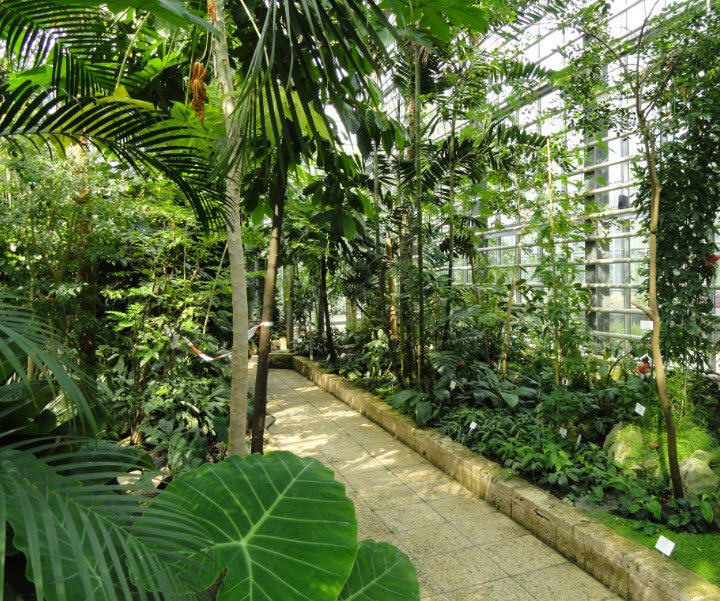 Universität Freiburg Botanical Garden, Germany